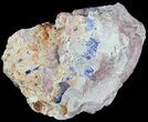 Large Azurite Crystals on Matrix - Morocco #49445-2